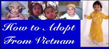 How to adopt from Vietnam.