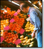 Selecting fruit on a Kowloon street.